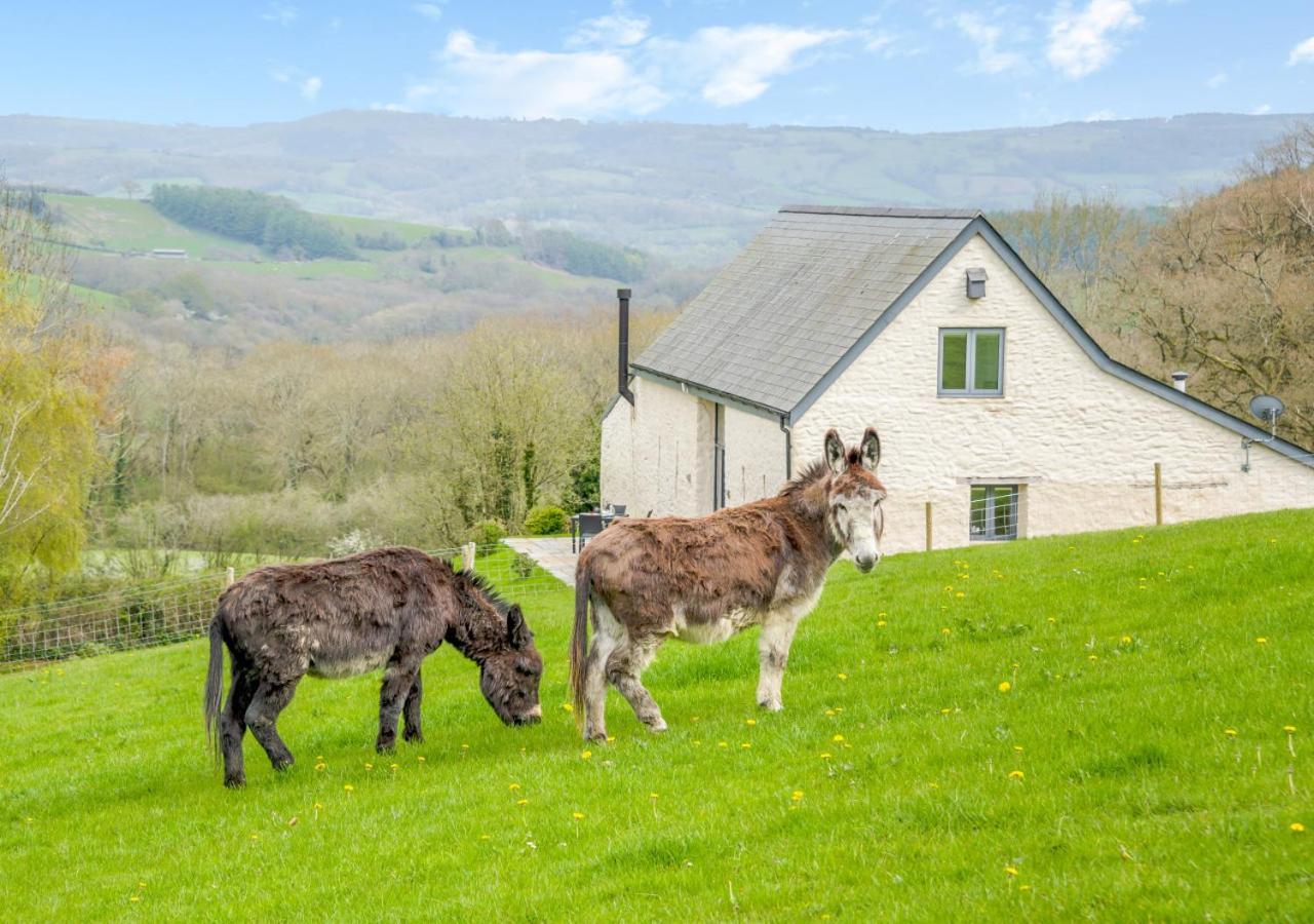 Usk Barn Διαμέρισμα Llanbadoc Εξωτερικό φωτογραφία